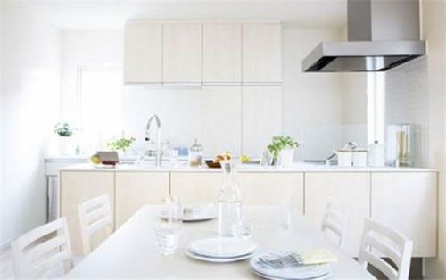 紫竹林膩子粉 進口原料鑄就卓越品質，打造行業(yè)口碑品牌與代理機遇