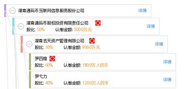 湖南通碼幣互聯(lián)網(wǎng)信息服務股份公司 在數(shù)字經(jīng)濟浪潮中的信息服務引領者